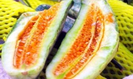 吃瓜今日吃瓜热门吃瓜,吃瓜群众聚焦最新吃瓜事件