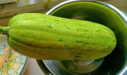 吃中药能吃瓜,健康生活的智慧之道