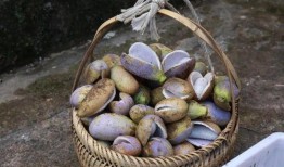 吃瓜被炸群,网络社交的边界与责任