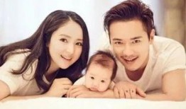 网络吃瓜事件盘点,揭秘热门话题背后的真相与争议