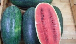 十七的吃瓜,揭秘娱乐圈幕后故事