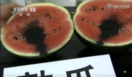 切瓜吃瓜视频,揭秘瓜类美食的多样魅力