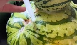 吃瓜搞笑经历视频,那些让人捧腹的吃瓜搞笑瞬间