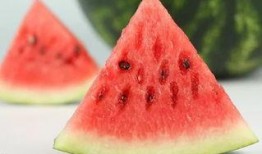 数码君pro吃瓜,揭秘吃瓜界的科技新宠