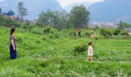 乡村吃瓜拍照,吃瓜拍照，留住欢乐时光