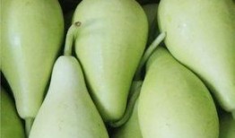 长期吃瓜的后果,揭秘身体健康的五大隐患