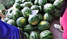 现场免费吃瓜,夏日狂欢盛宴来袭！