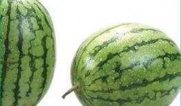 吃绞瓜过敏,探寻过敏源与应对策略