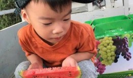 吃瓜吃瓜爆料,娱乐圈最新爆料大揭秘