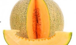 吃头孢能吃哈密瓜,揭秘抗生素与水果的饮食禁忌