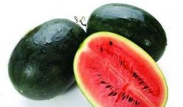 吃zs和zh瓜,一场舌尖上的文化盛宴