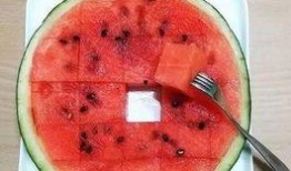 看完吃瓜文件,一场网络舆论的风暴与反思