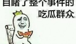 顾白学长吃瓜群众,吃瓜群众的美食探索之旅