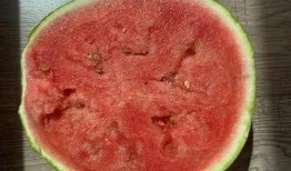 吃瓜系列12集,揭秘娱乐圈背后的秘密风暴