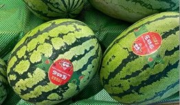 重庆南岸区吃瓜,瓜果飘香，美食地图探秘