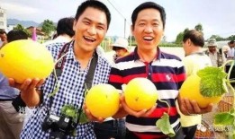 群众吃瓜视频全集,揭秘视频全集背后的热点事件