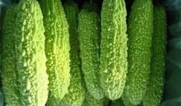 南宁兴安吃瓜事件,一场引发热议的街头冲突