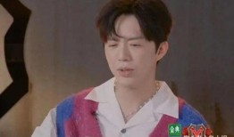 王力宏吃瓜详解,揭秘娱乐圈的真相与争议