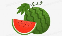 夏天吃瓜手绘头像,手绘吃瓜头像，捕捉夏天的悠闲时光