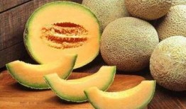 吃哈密瓜的孩子动画图,孩子们的甜蜜冒险之旅