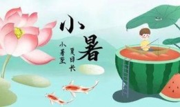 小暑吃瓜图片,瓜果飘香，尽享清凉时光