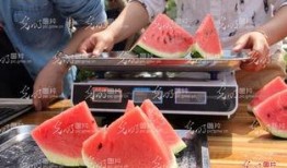 山东今日吃瓜新闻,揭秘当地热点事件背后的真相