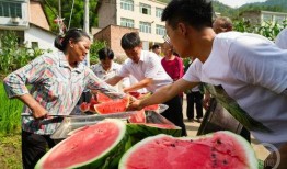 村民喜欢吃瓜,村民的夏日美食情怀