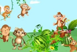 猴子吃瓜ppt,趣味PPT中的智慧与幽默