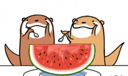 夏日正确吃瓜姿势,解锁正确姿势，畅享夏日美味