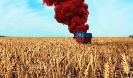 怎么打吃鸡拍树瓜视频,揭秘吃鸡拍树瓜视频的独家技巧与实战攻略