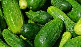 孕妇梦见吃长条瓜,长条瓜的寓意与启示