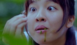 毛孩子吃瓜,欢乐无限，宠物界的夏日盛宴