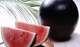 吃瓜黑暗在线,揭秘网络“吃瓜”背后的黑暗世界