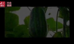 吃瓜看影视素材,跟随镜头，一网打尽热门影视幕后故事