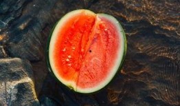 盐官吃瓜,吃瓜群众的狂欢时光