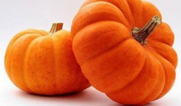 南瓜铠吃瓜,吃瓜群众的趣味解读