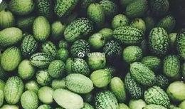 重庆南岸区吃瓜,瓜果飘香，美食地图探秘