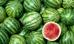 许昌今天吃瓜新闻,今日瓜新闻盘点，揭秘幕后真相！