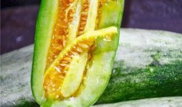 吃日本瓜的网红,口感揭秘引热议！