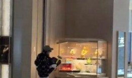 杭州金店抢劫吃瓜,抢劫事件背后的吃瓜众生相