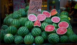 上海最近的吃瓜事件,最新吃瓜事件盘点