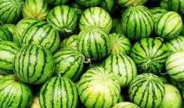 今夏吃瓜视频全集,盘点全网热门视频全集精彩瞬间