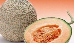 孕妇可以吃哈密瓜吗刚怀孕的孕妇,哈密瓜，孕妇的甜蜜选择