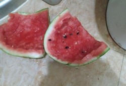 新疆吃瓜事件,揭秘背后的真相与争议