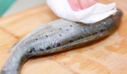 鱼盐里吃瓜,探寻传统美食的独特魅力