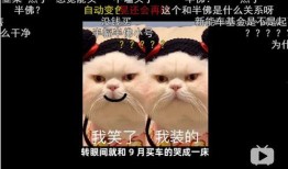 吃瓜打架小说,一场吃瓜引发的江湖恩怨