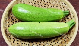 啥也不懂吃瓜,网络热词背后的文化现象