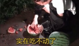 深夜吃瓜全部,揭秘娱乐圈背后的秘密与真相