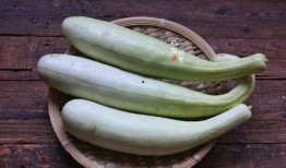 5元吃的瓜,探寻街头瓜果的甜蜜诱惑