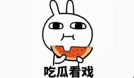 .吃瓜红蚁,网络热词背后的文化现象